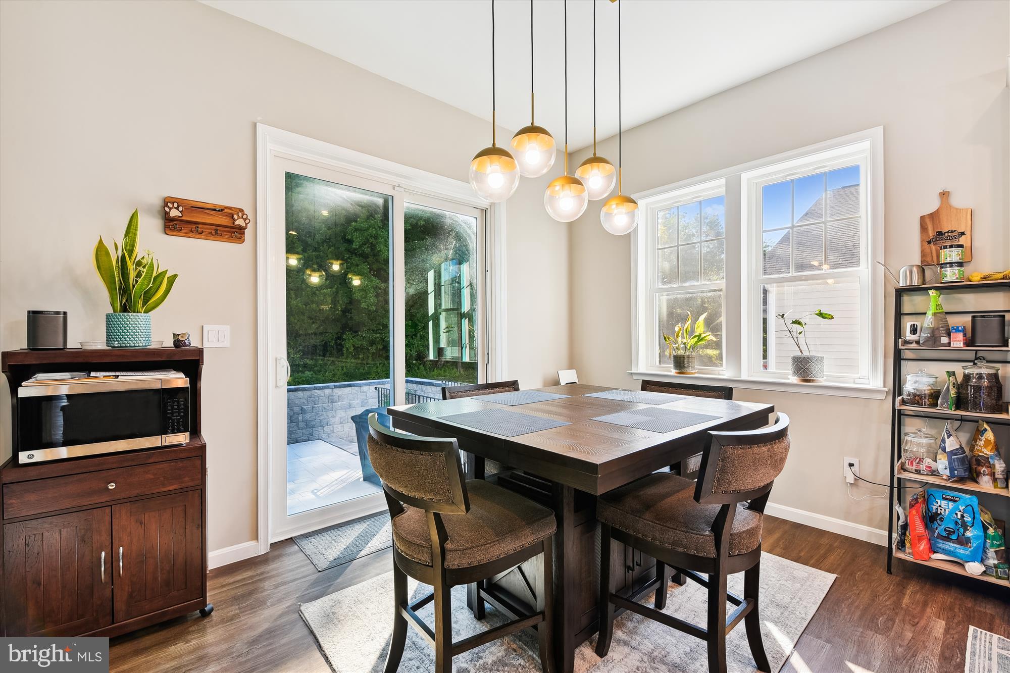 658 PEACE CHANCE DRIVE