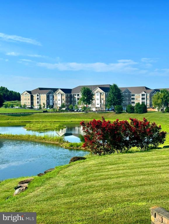 521 SILVER CHARM COURT