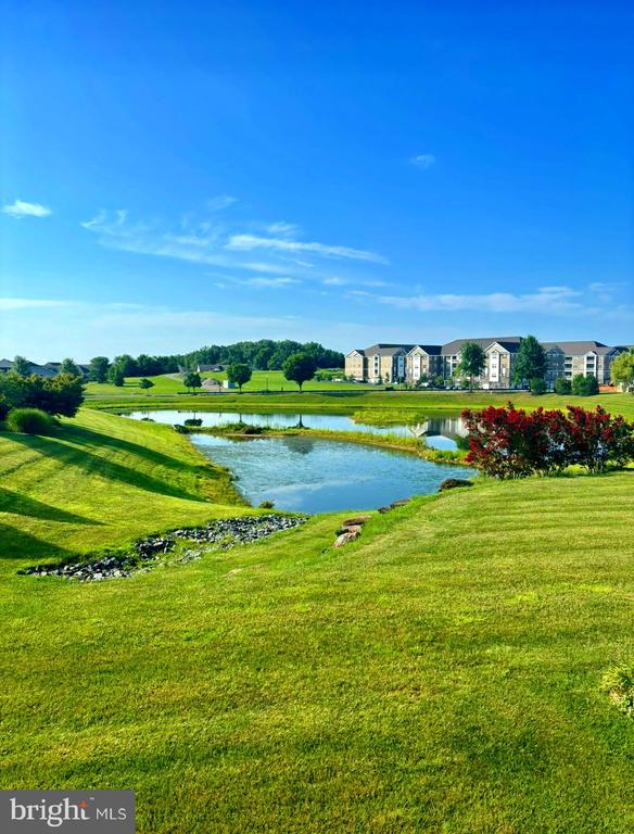 521 SILVER CHARM COURT