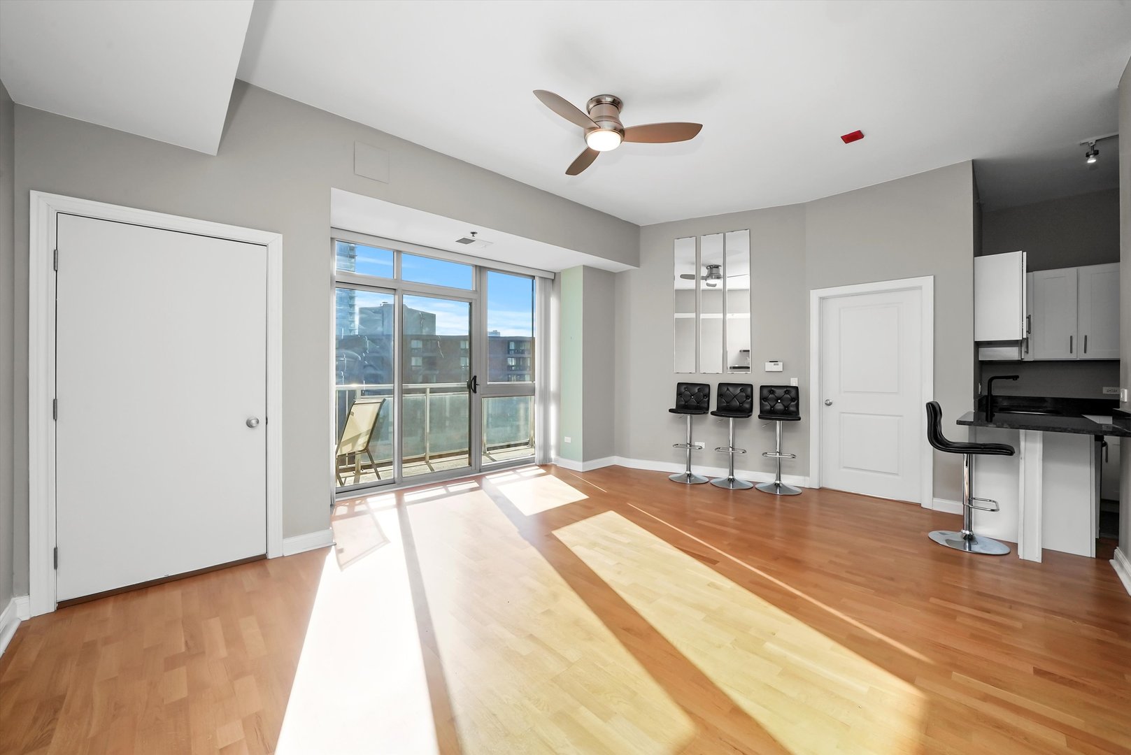 230 W Division Street Unit: 703
