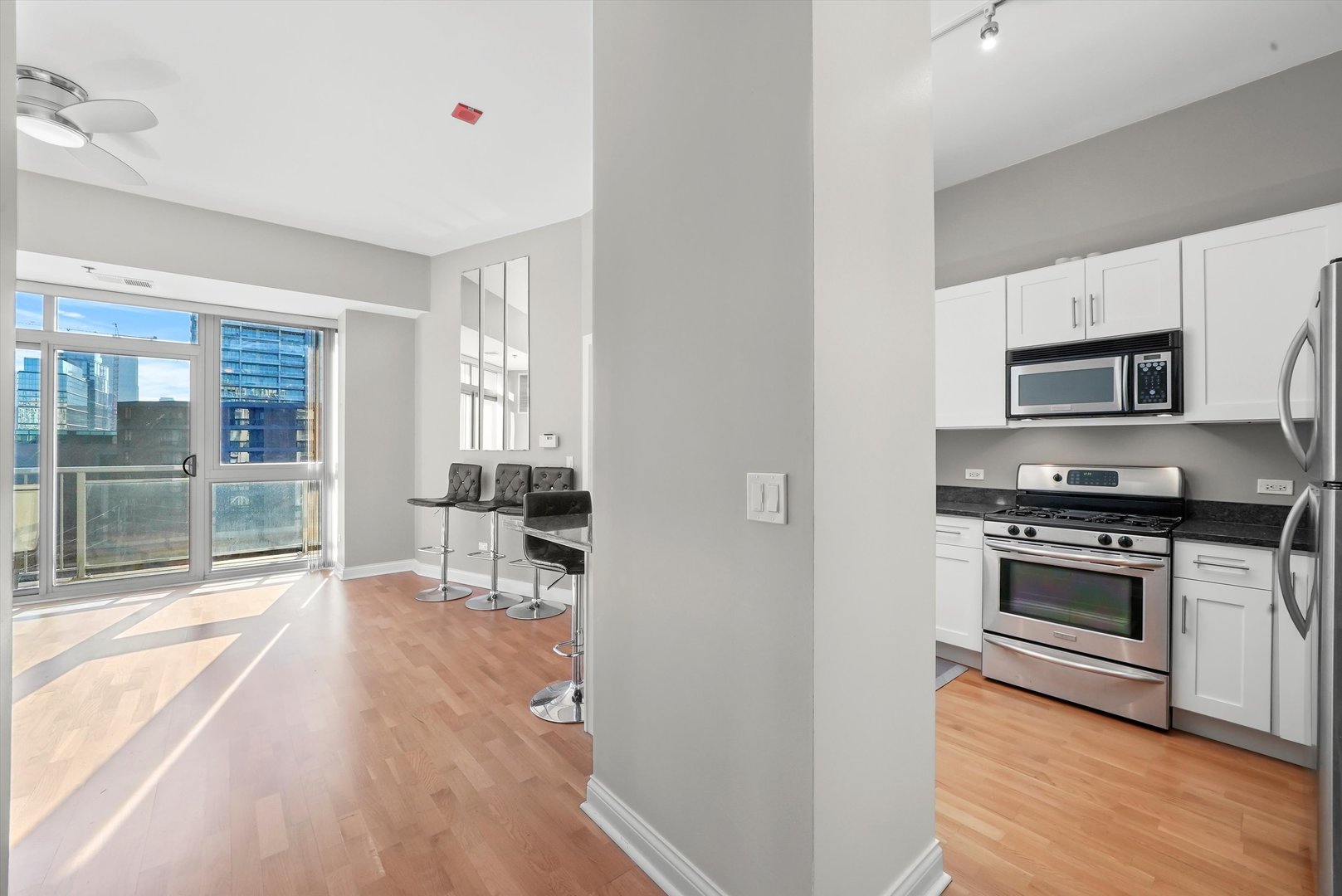 230 W Division Street Unit: 703