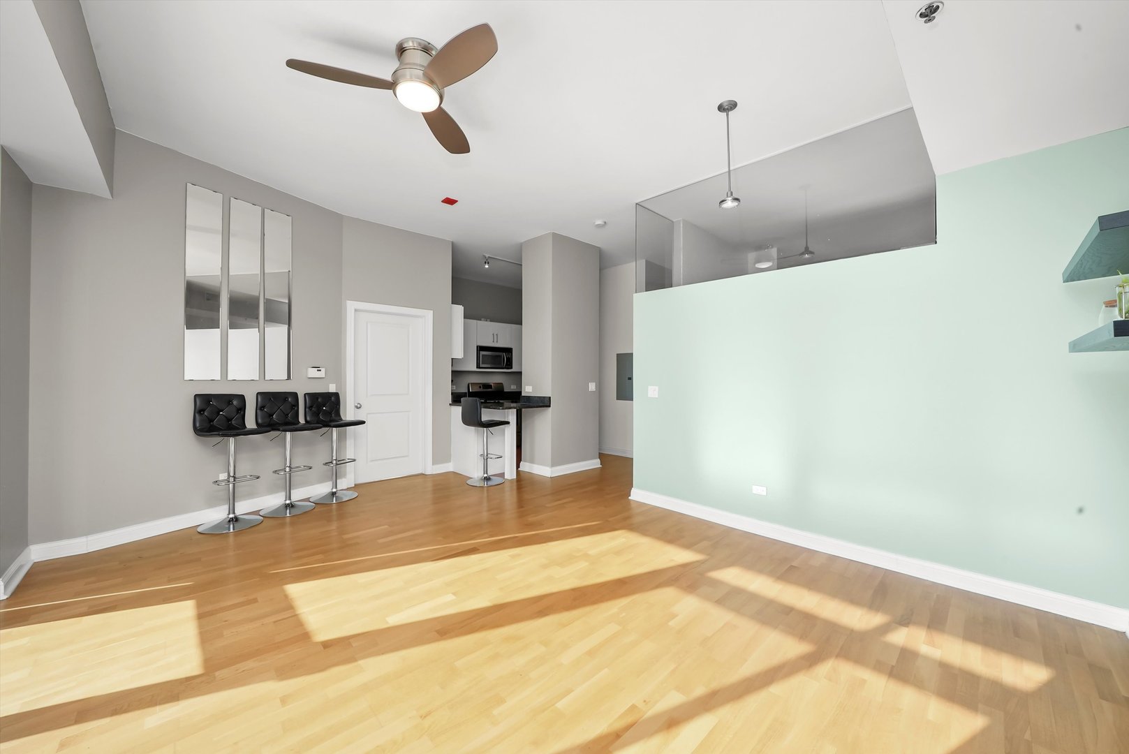230 W Division Street Unit: 703