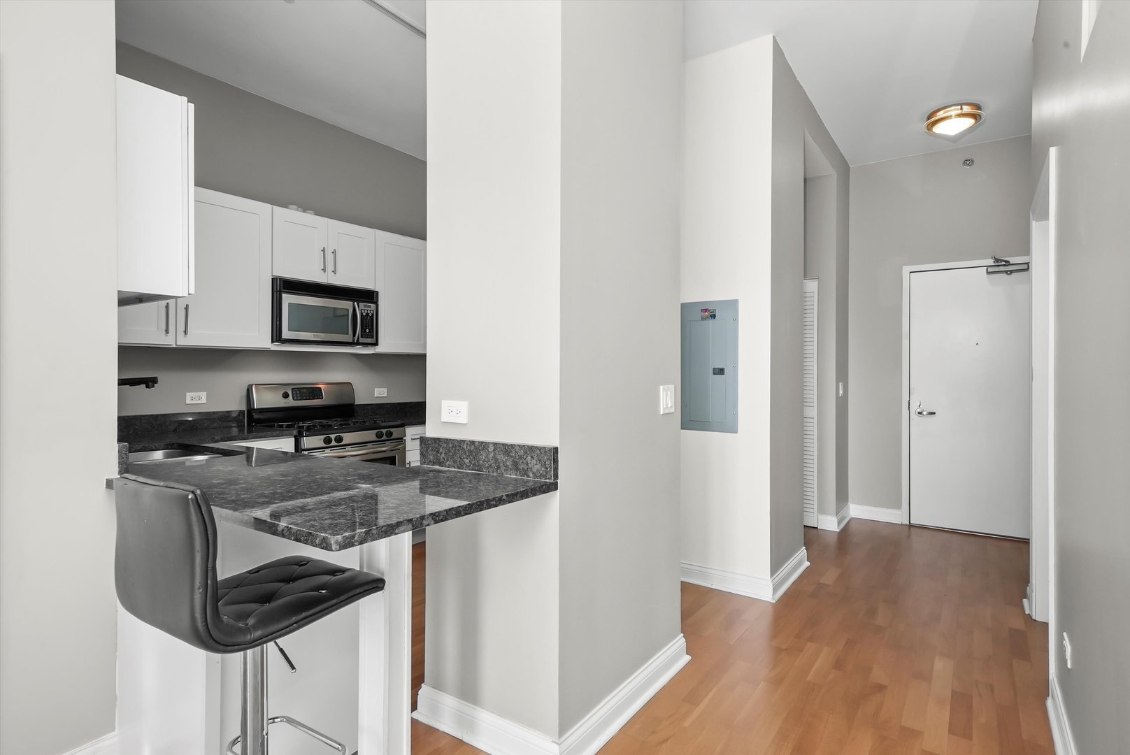 230 W Division Street Unit: 703