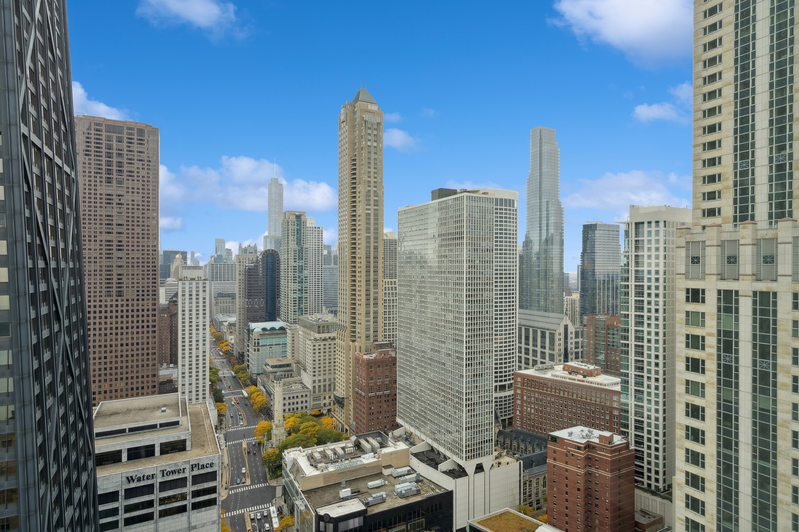 159 E Walton Street Unit: 33A