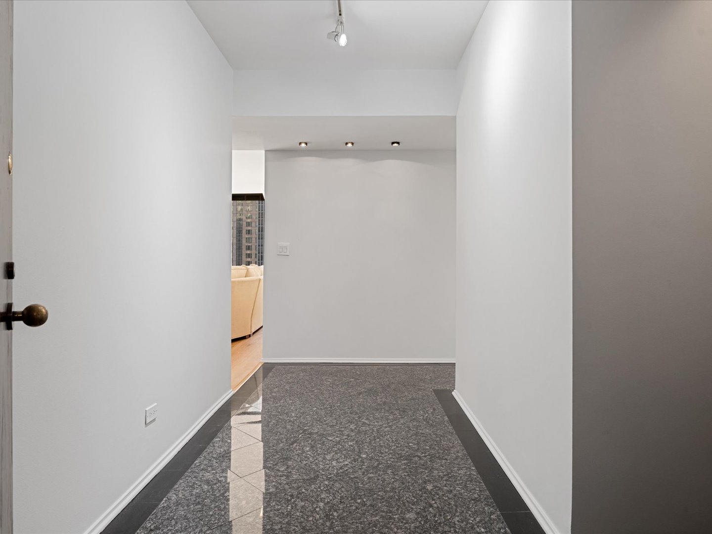 100 E Bellevue Place Unit: 30C