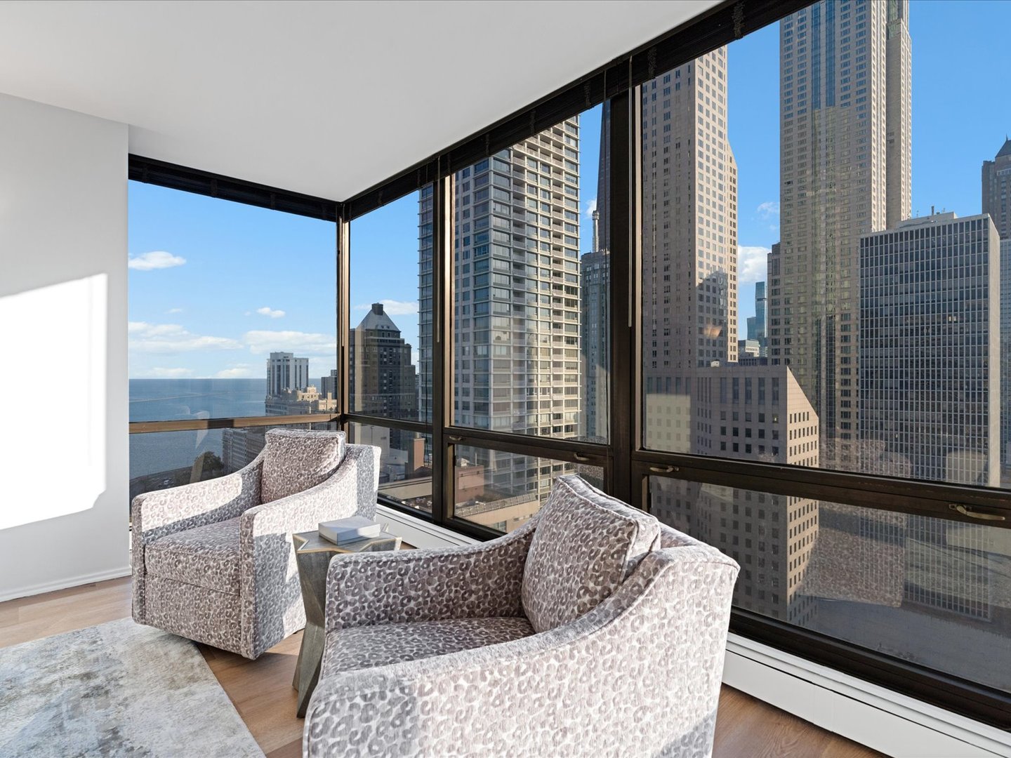 100 E Bellevue Place Unit: 30C