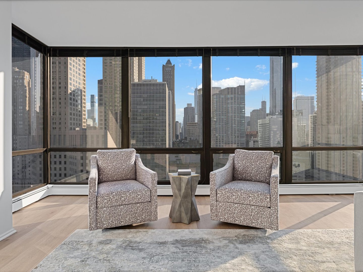 100 E Bellevue Place Unit: 30C