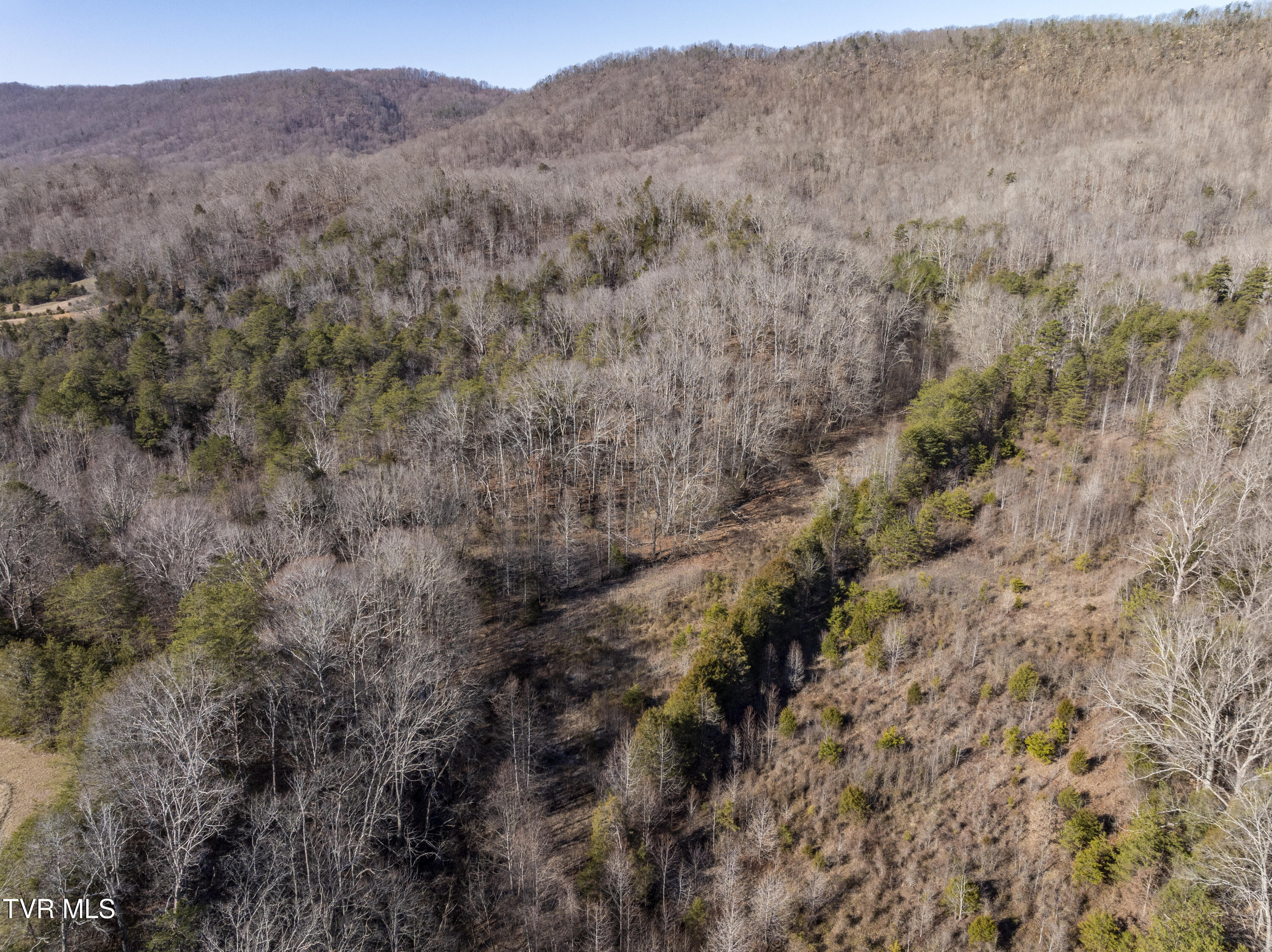 3119 Beech Creek Road