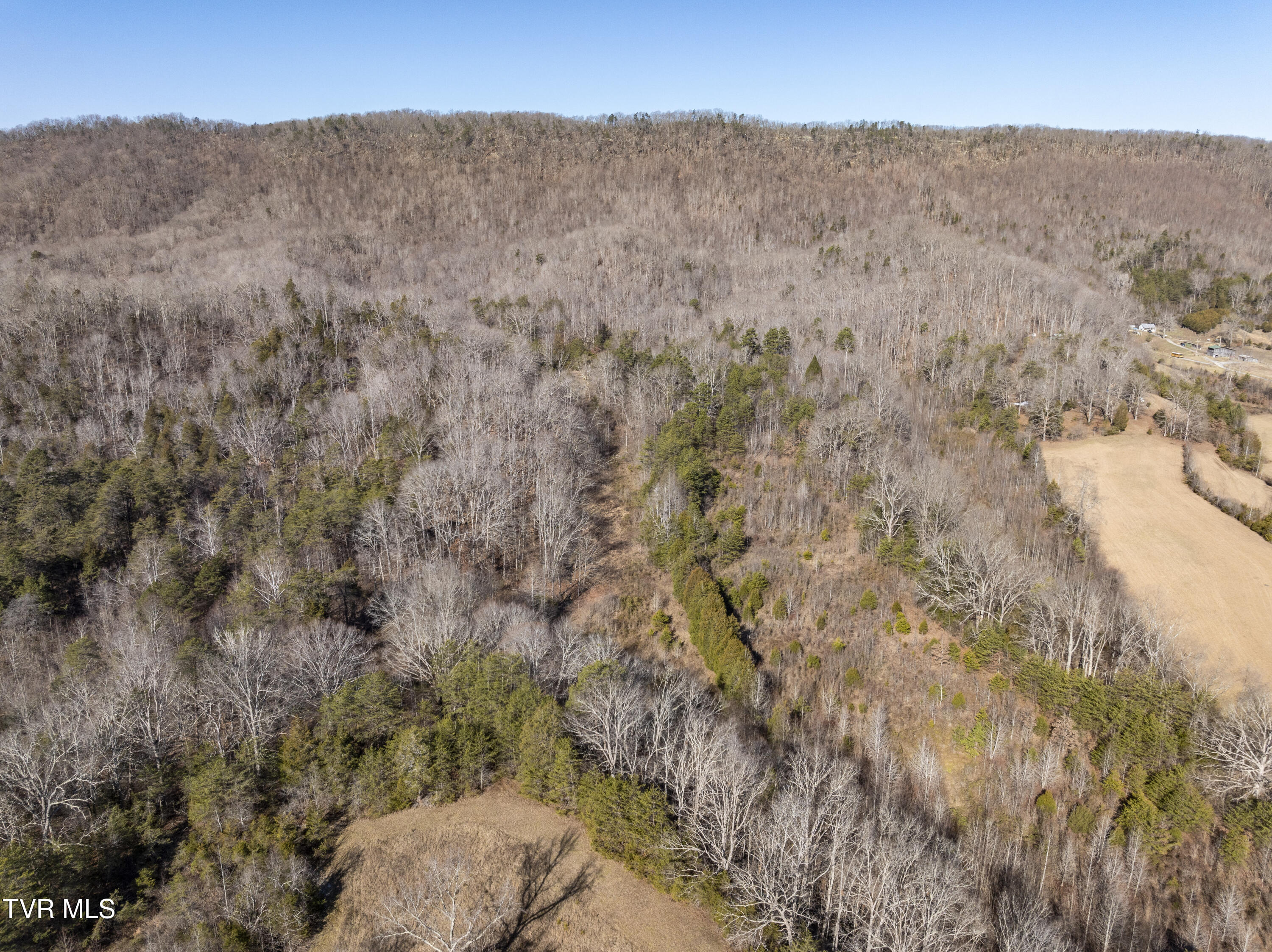 3119 Beech Creek Road