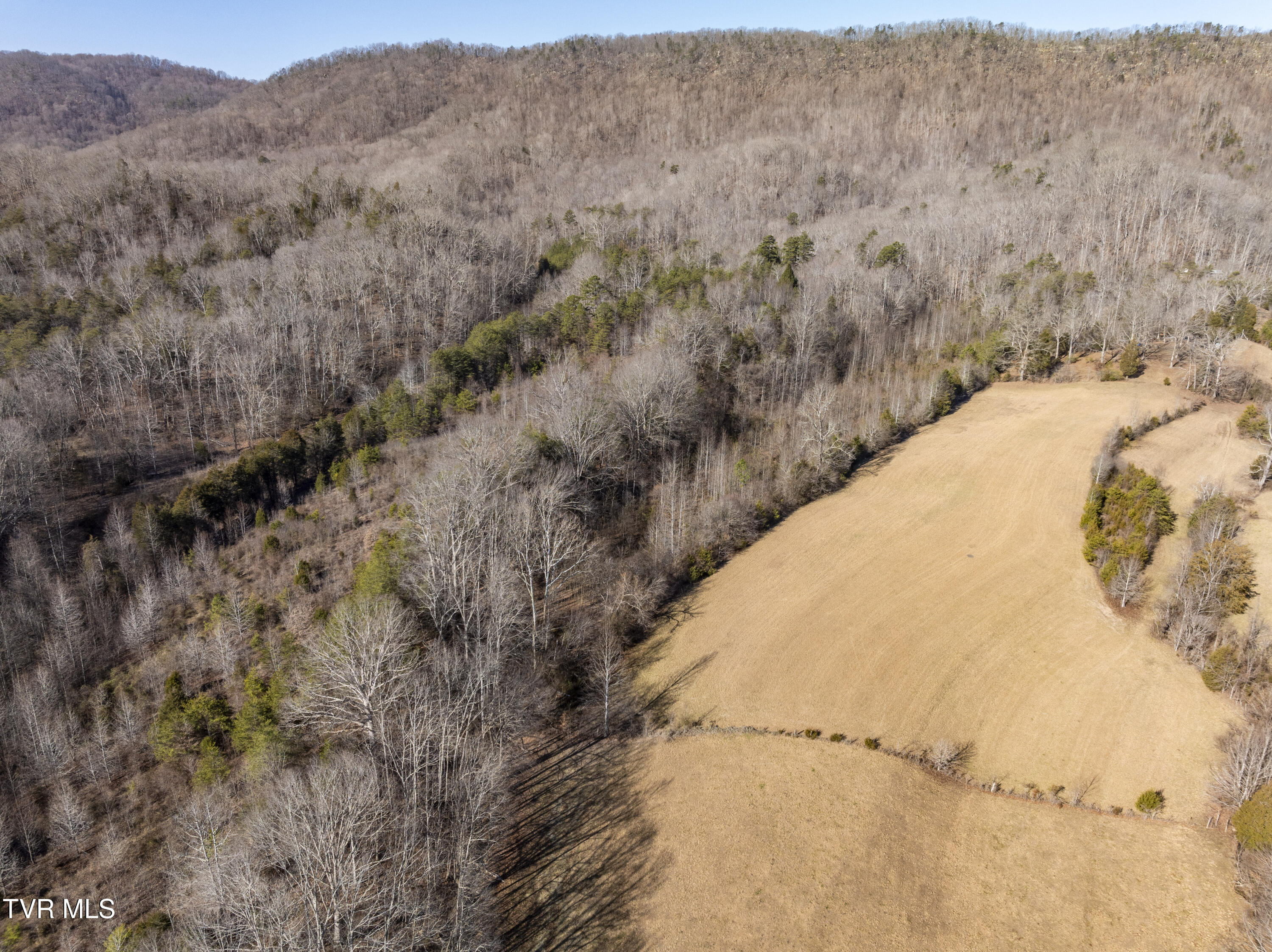 3119 Beech Creek Road