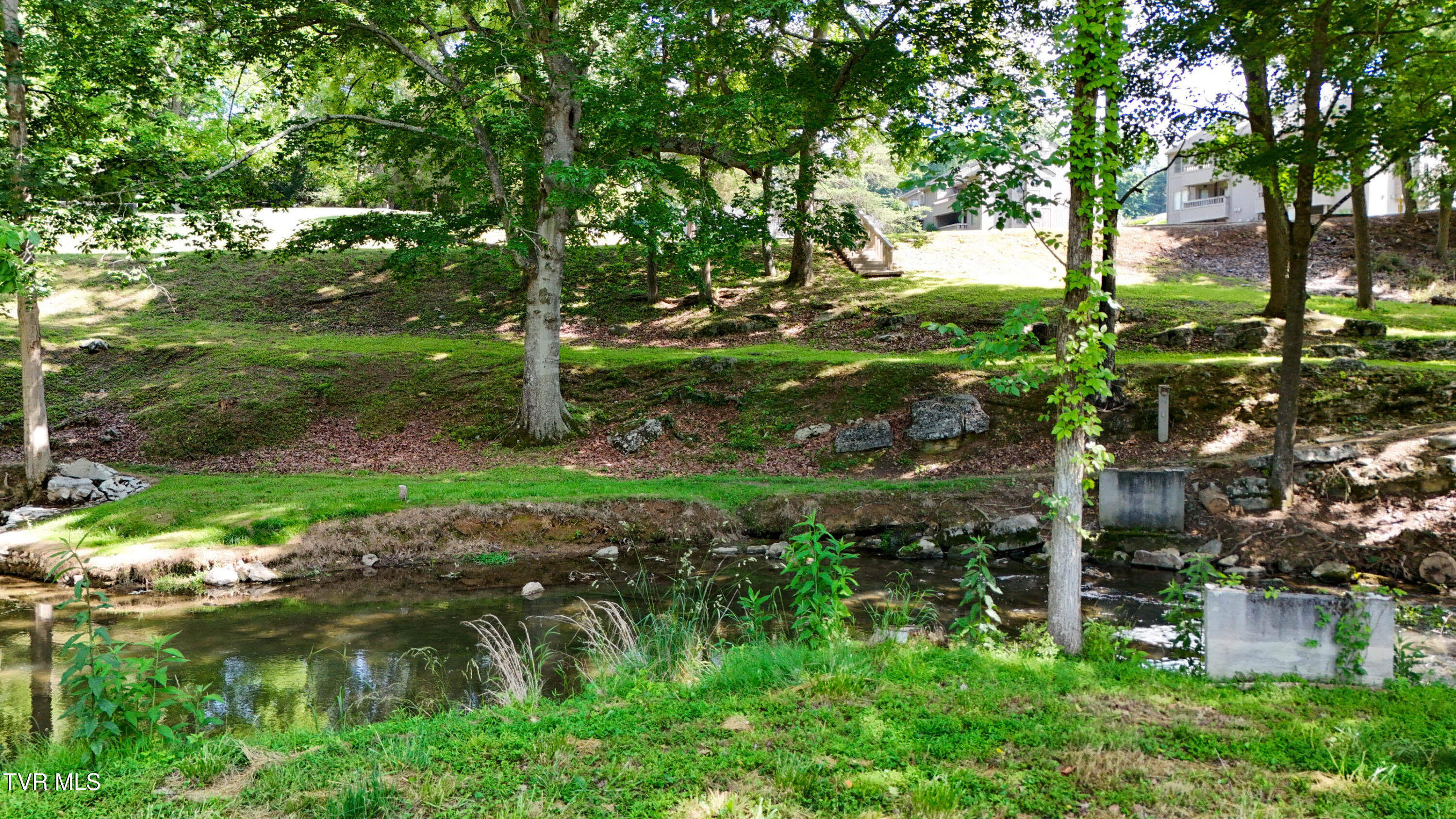 160 Creekside Trail