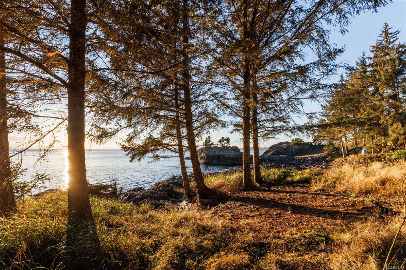 1150 Silver Spray Dr, Sooke