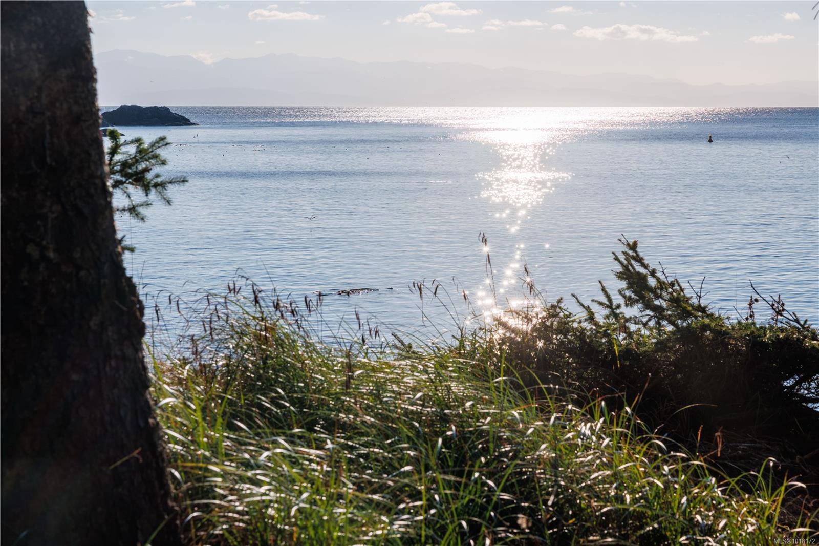 1150 Silver Spray Dr, Sooke