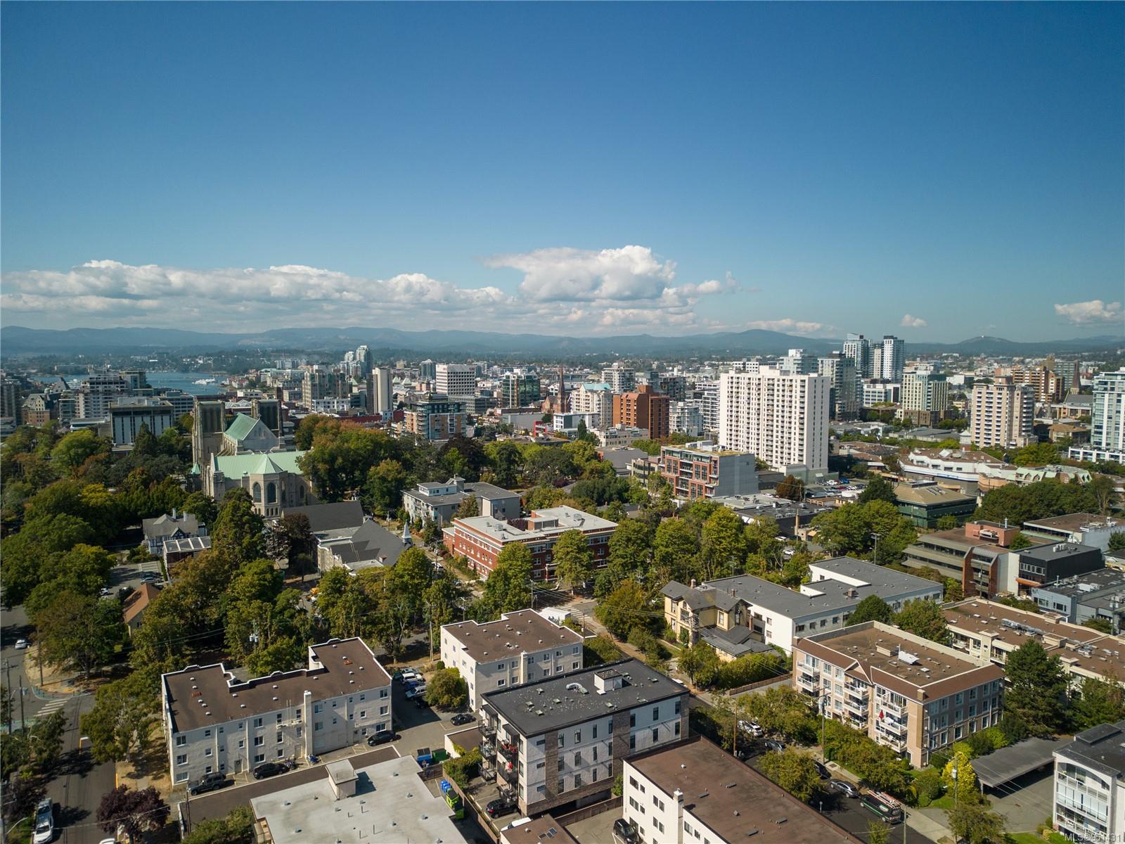 1015 Rockland Ave Unit: 101