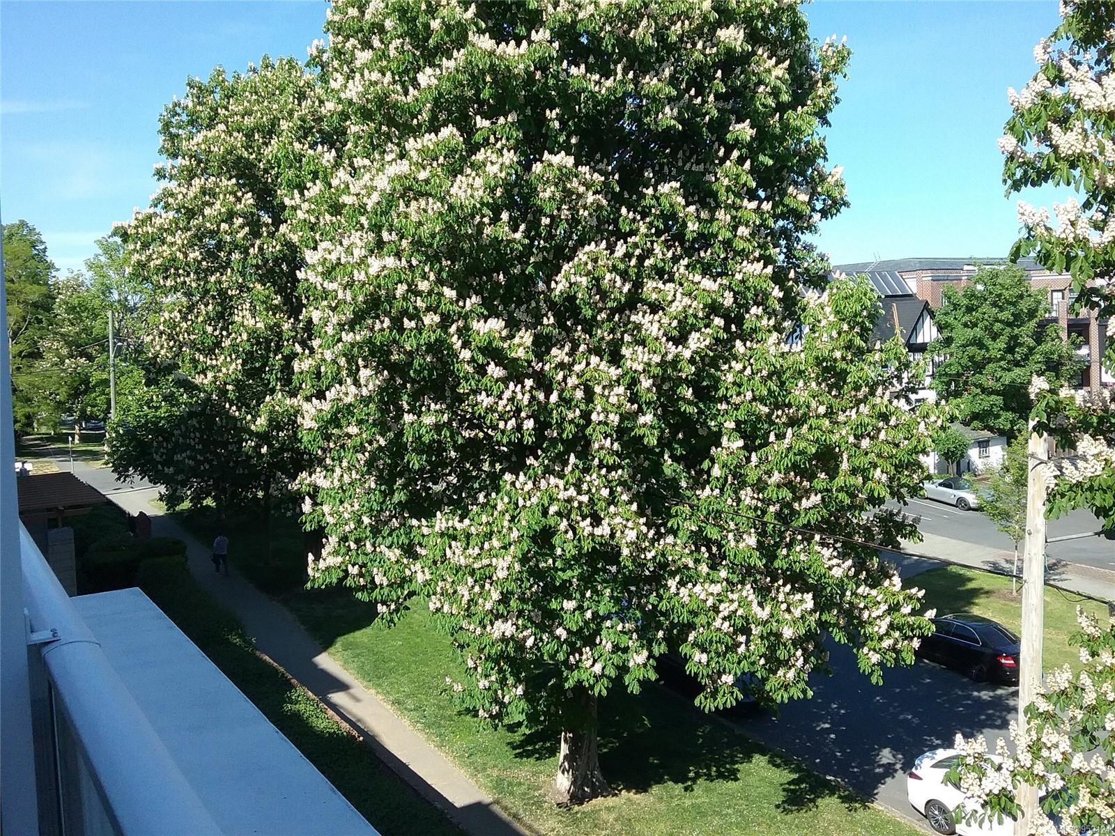 999 Burdett Ave Unit: 410