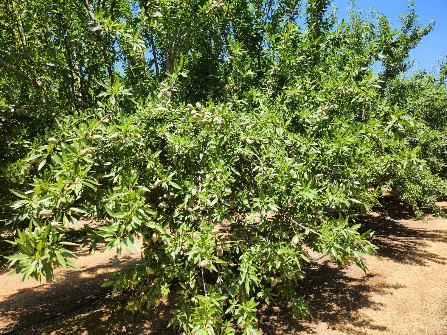 28000 E State Route 120