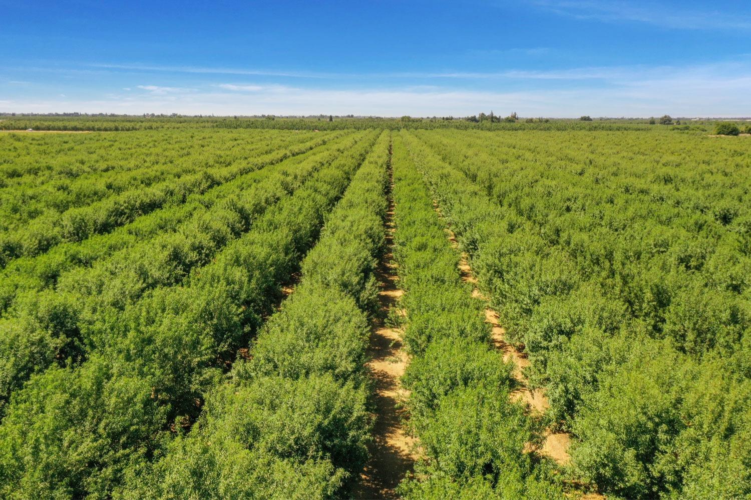 28000 E State Route 120