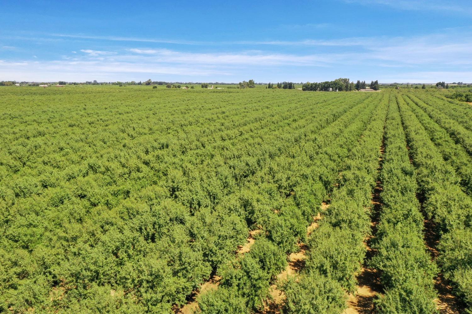 28000 E State Route 120