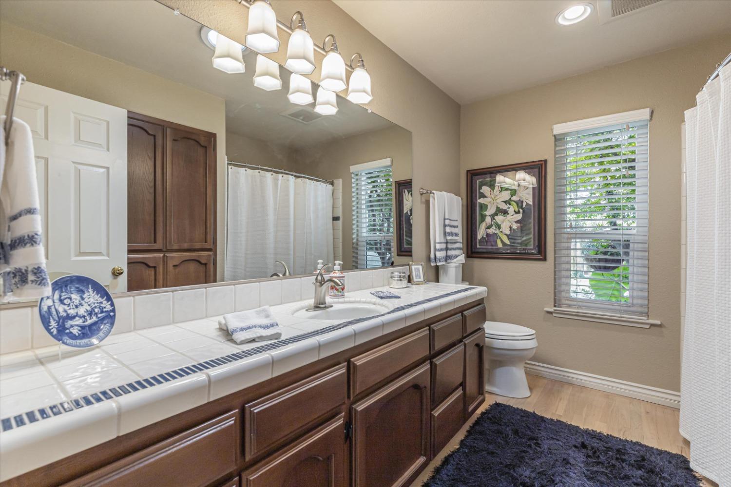 1172 Woodhaven Drive