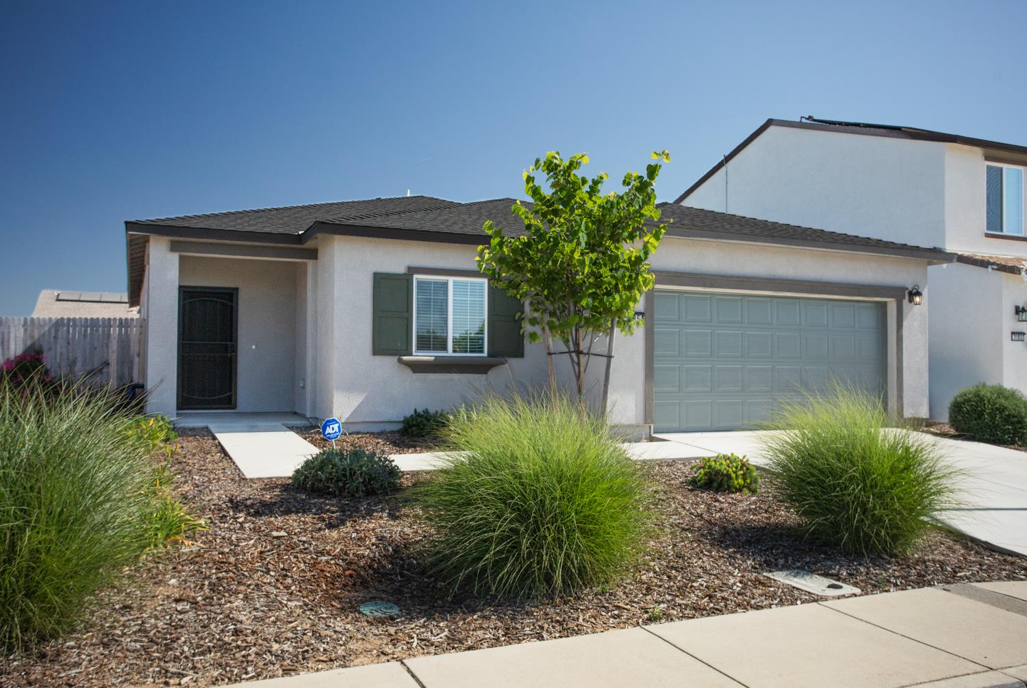 3195 Jasmine Drive