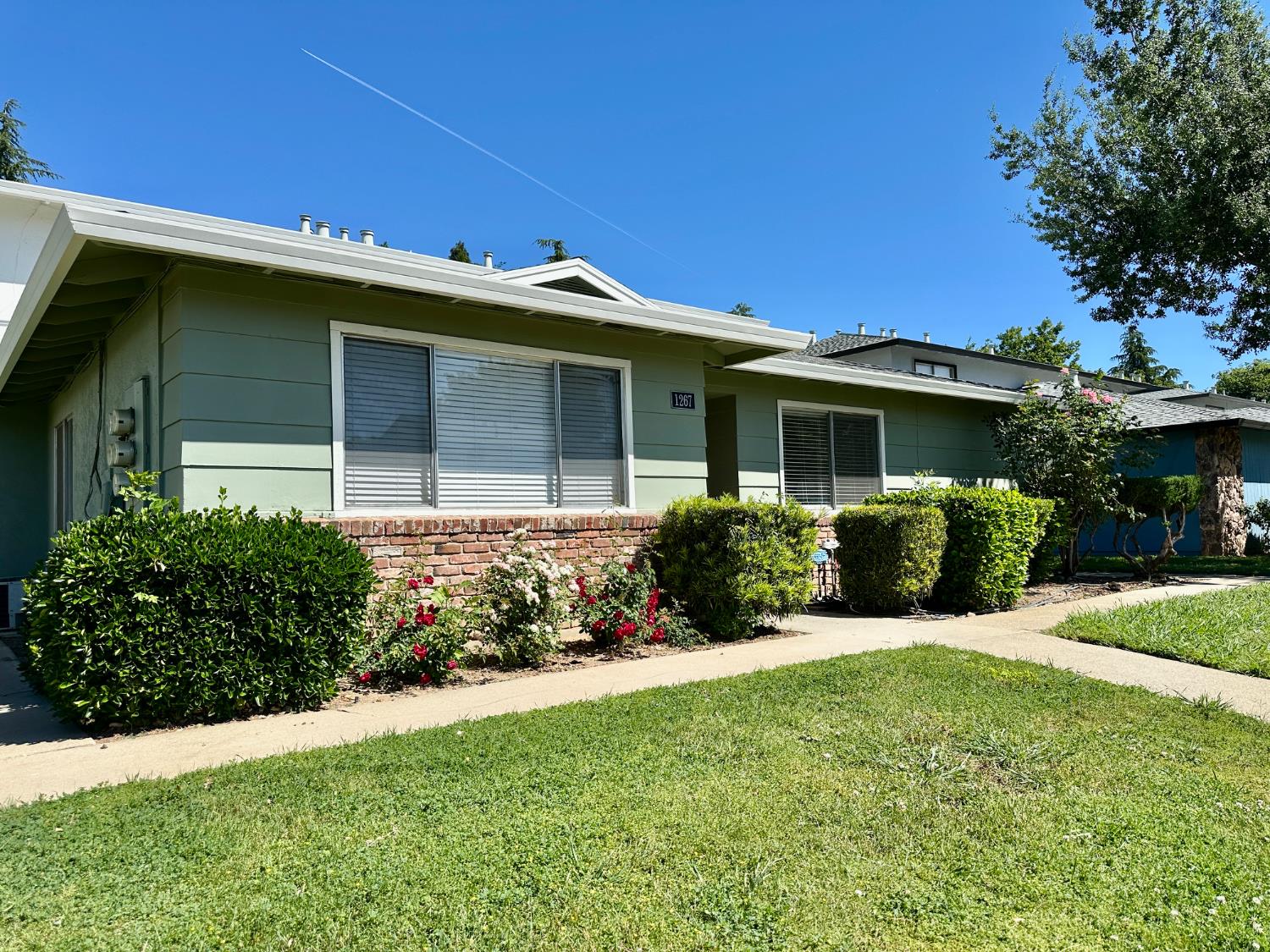 1267 Casita Drive 1