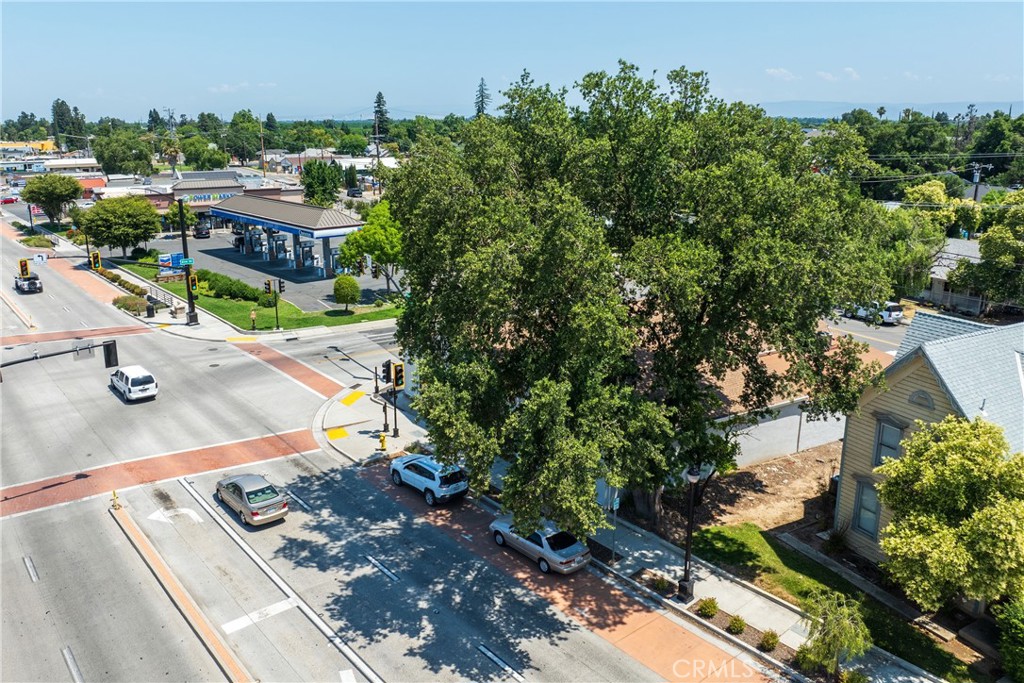 9793 Live Oak Boulevard