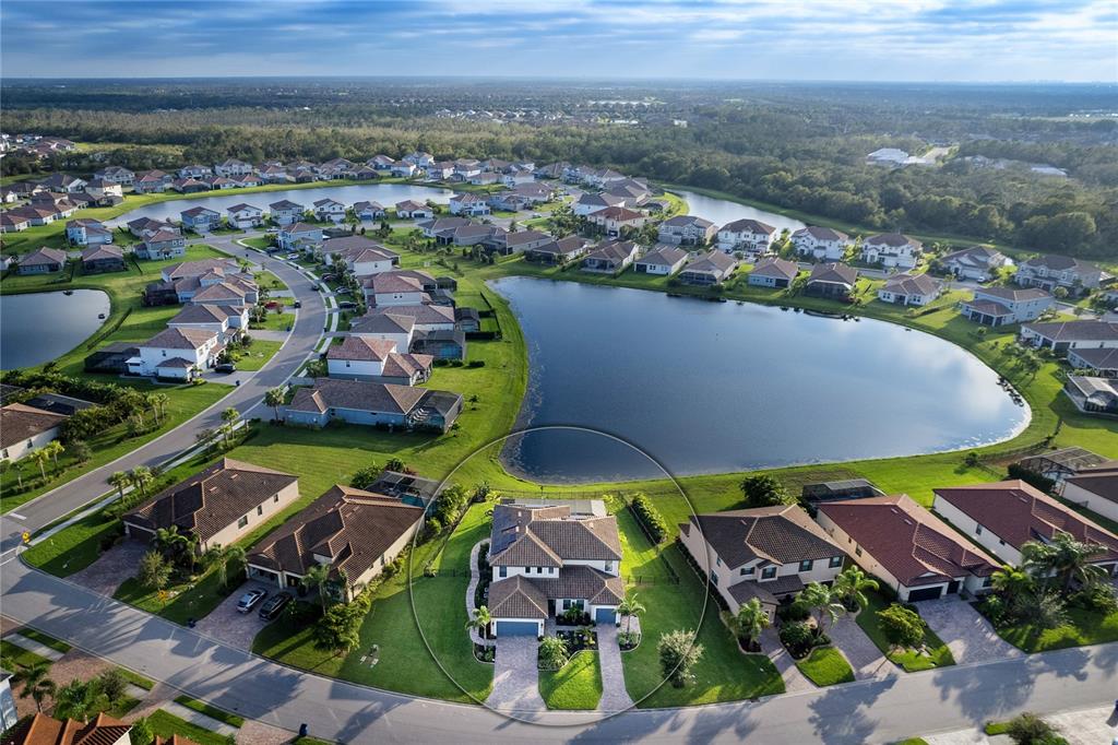 13510 SAW PALM CREEK TRL