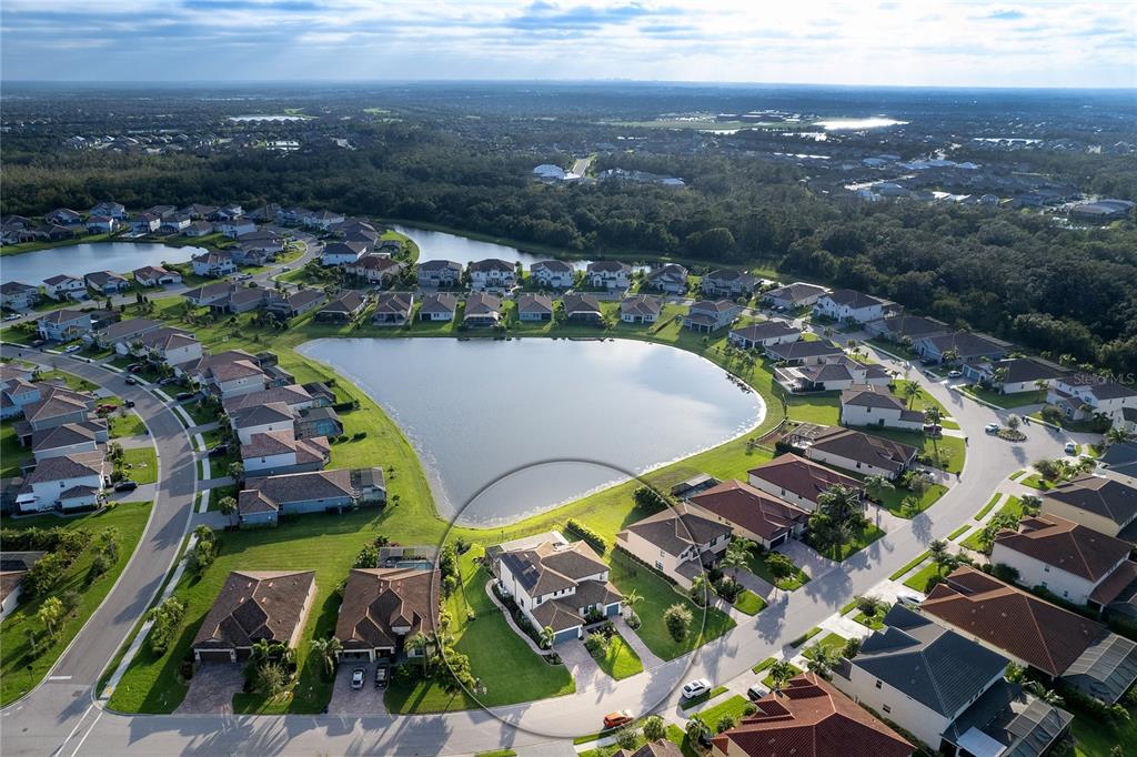 13510 SAW PALM CREEK TRL