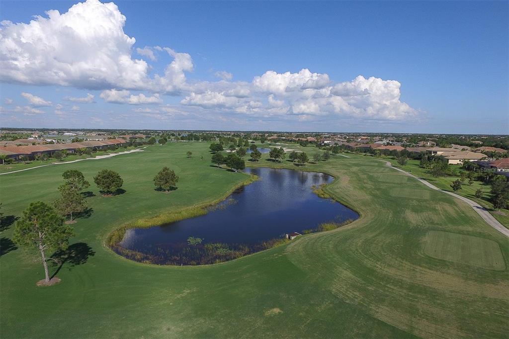 16631 COLLINGTREE XING