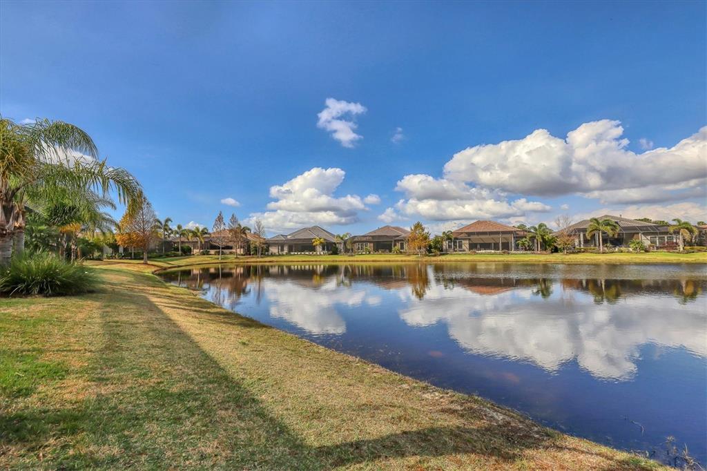 16631 COLLINGTREE XING