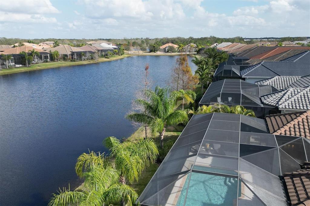 16631 COLLINGTREE XING