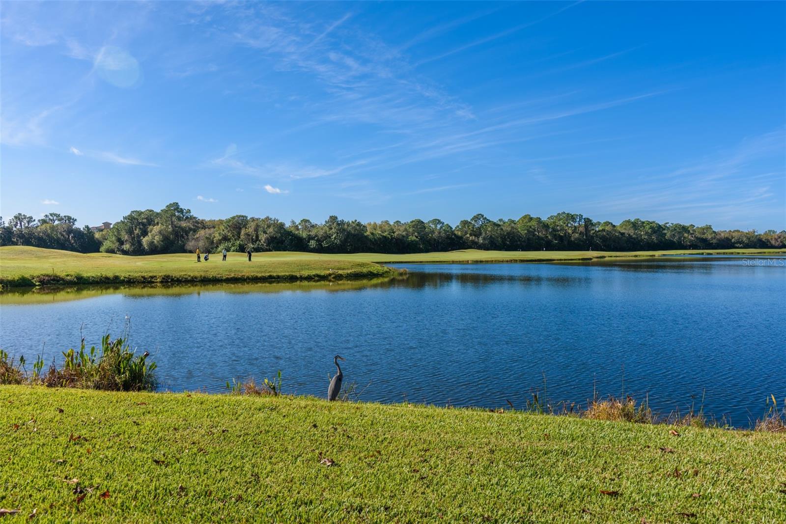 12708 STONE RIDGE PL