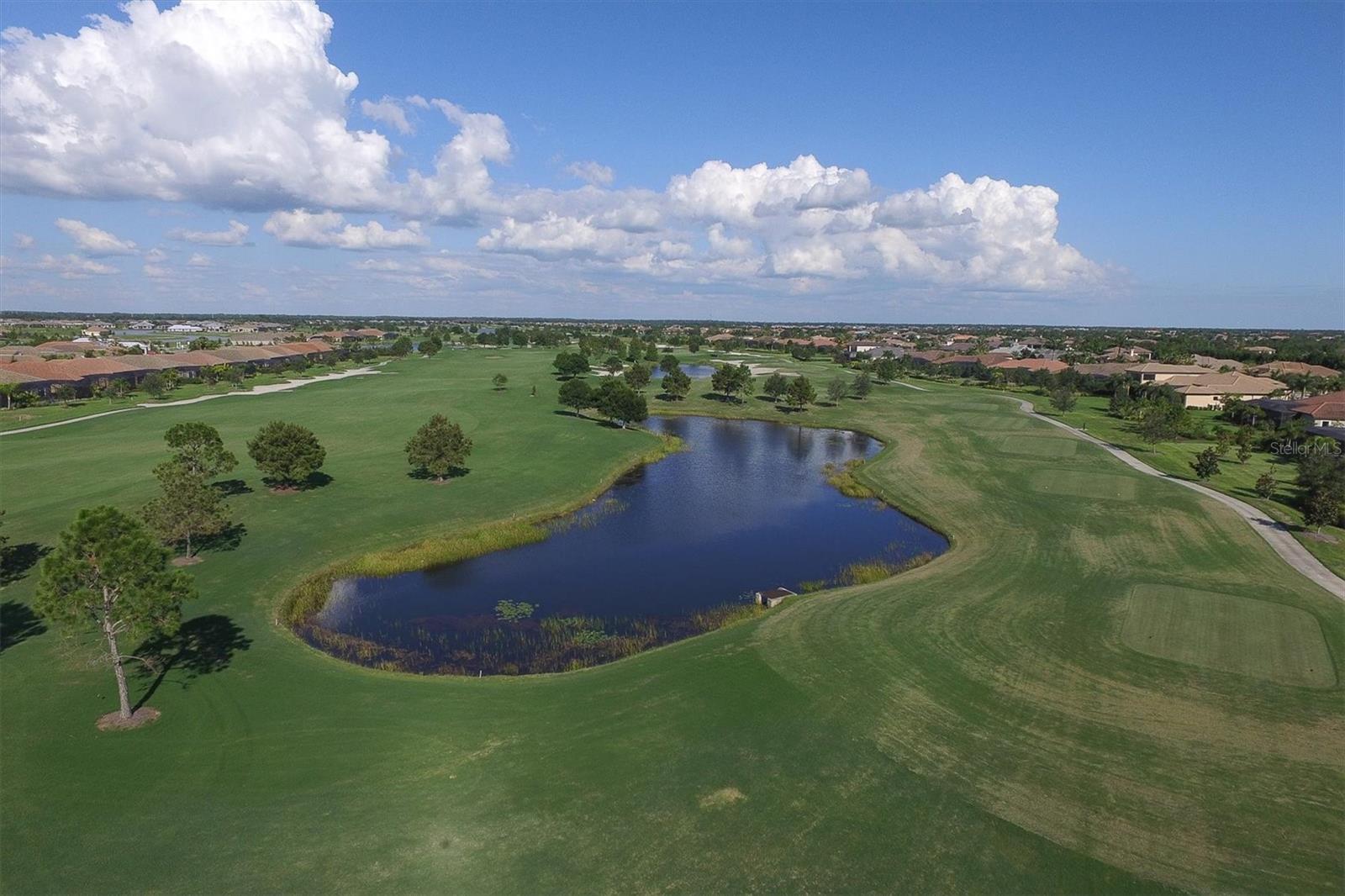 16639 COLLINGTREE XING