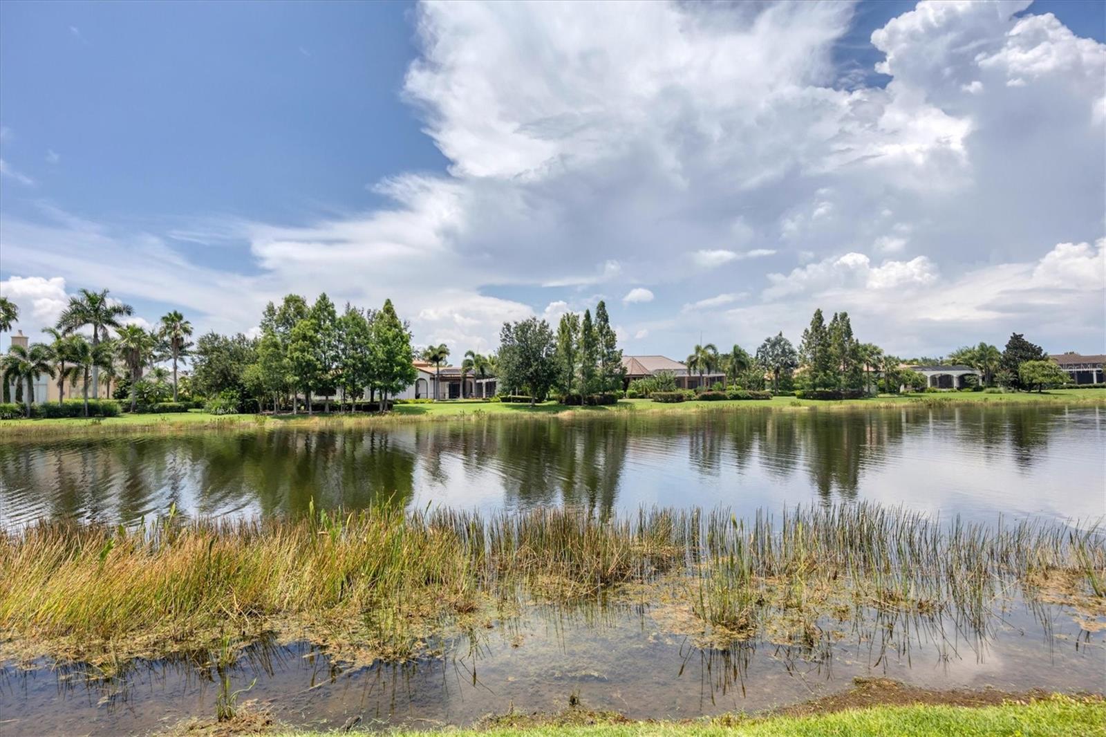16101 BAYCROSS DR