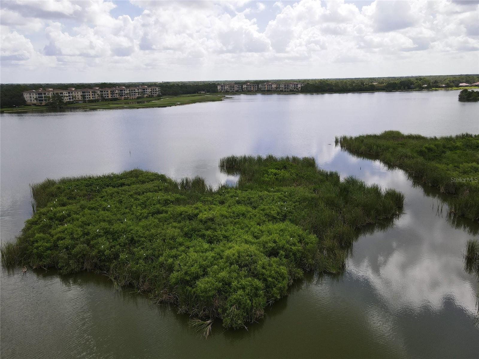 10520 BOARDWALK LOOP #705