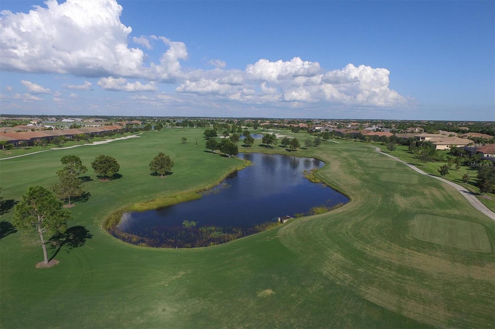 16620 COLLINGTREE XING