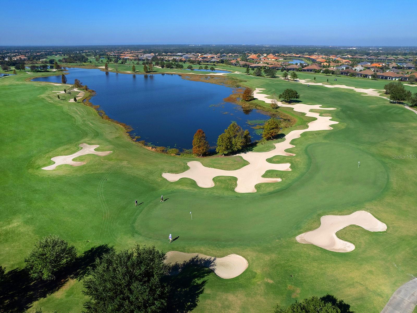 7425 DIVOT LOOP