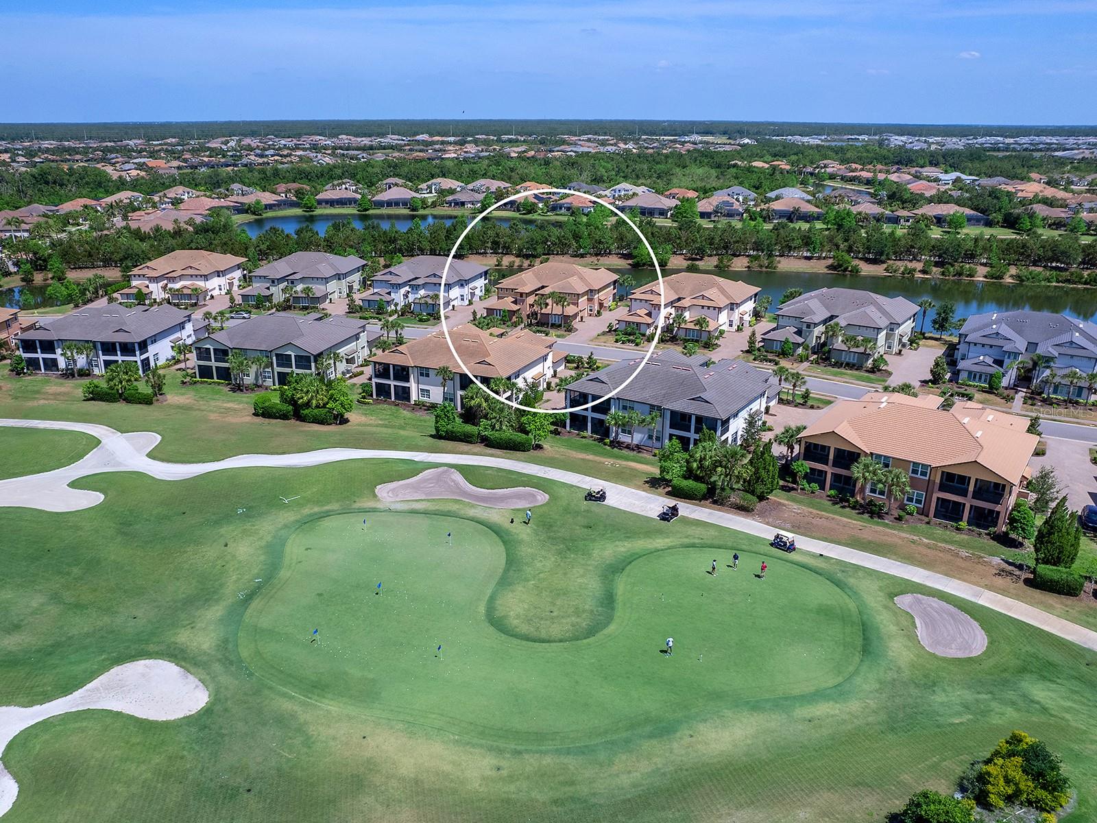 7425 DIVOT LOOP