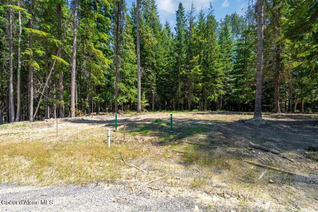 Lot 3 Brown Bear Dr