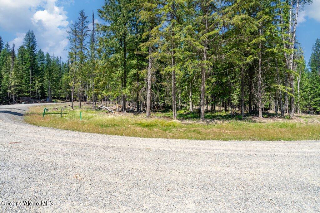 Lot 6 Brown Bear Dr