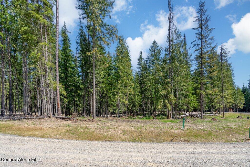 Lot 6 Brown Bear Dr.