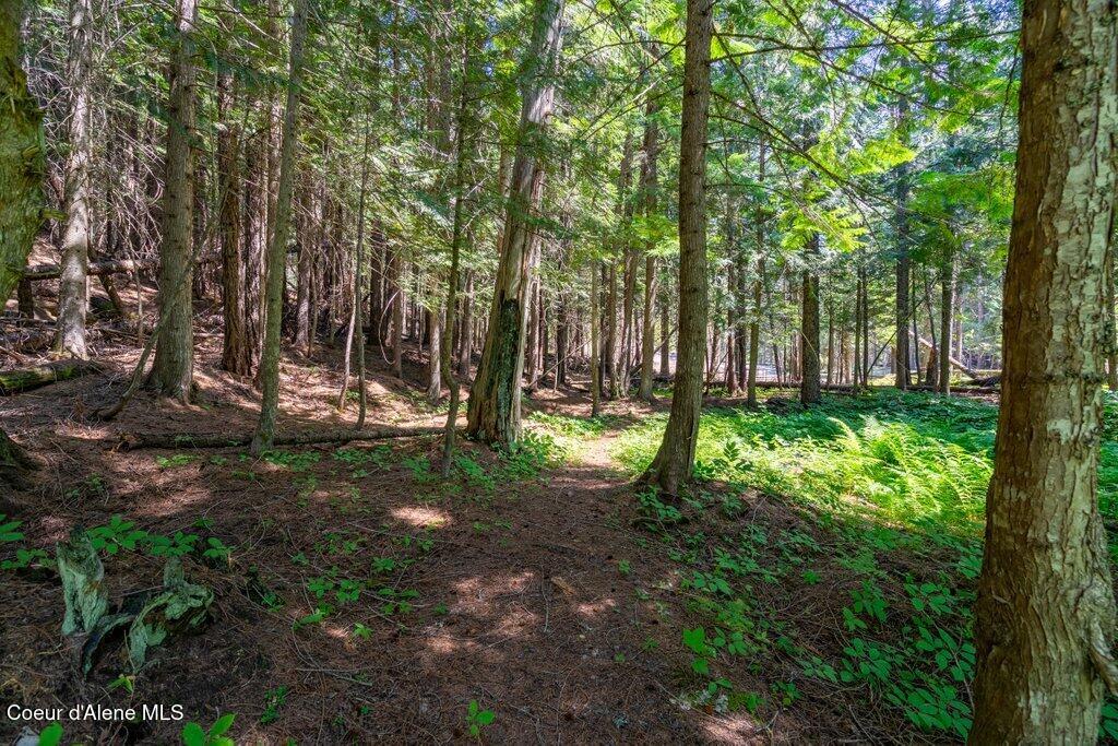 Lot 6 Brown Bear Dr.