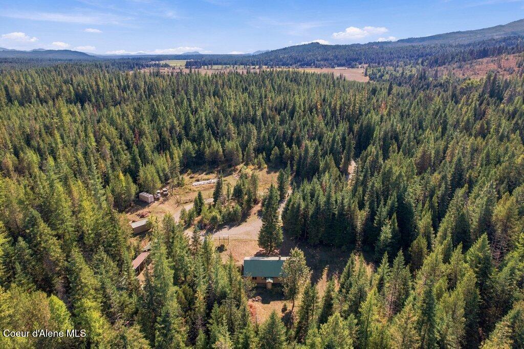 351 Lost Creek Ln
