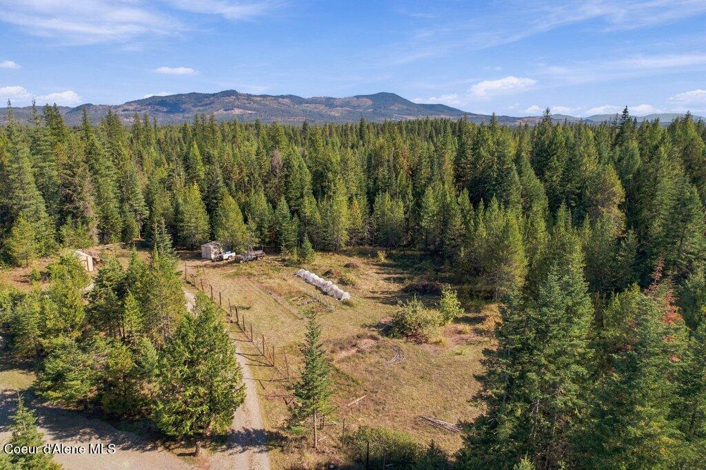 351 Lost Creek Ln