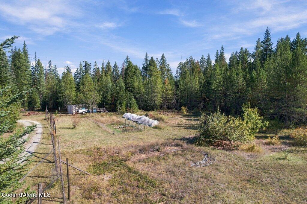 351 Lost Creek Ln