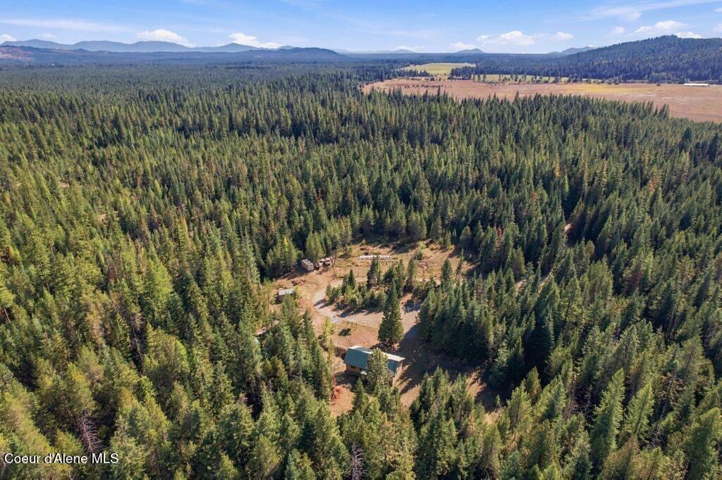351 Lost Creek Ln