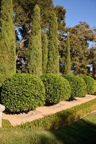 2910 Sycamore Canyon Road