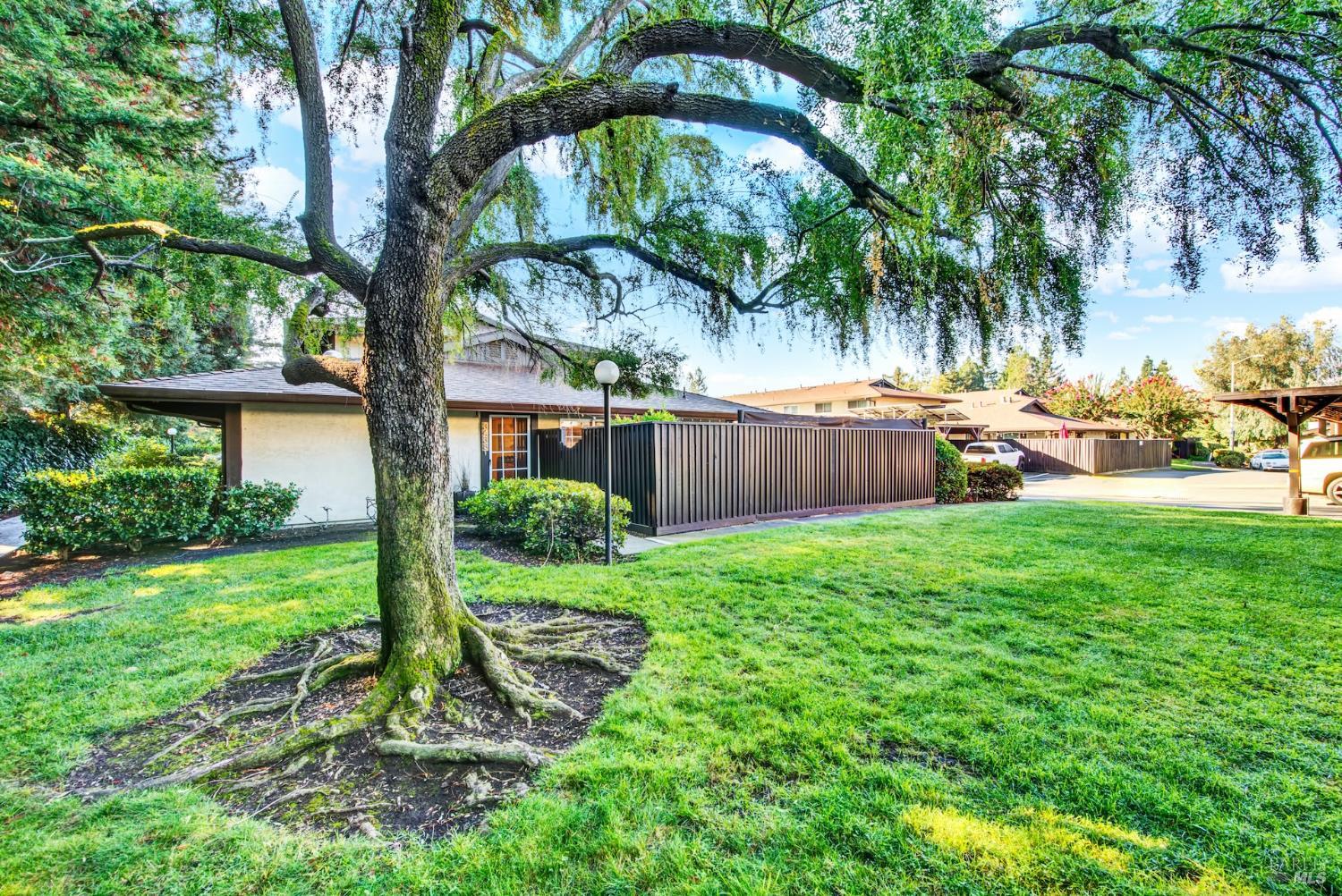 3438 Willis Dr