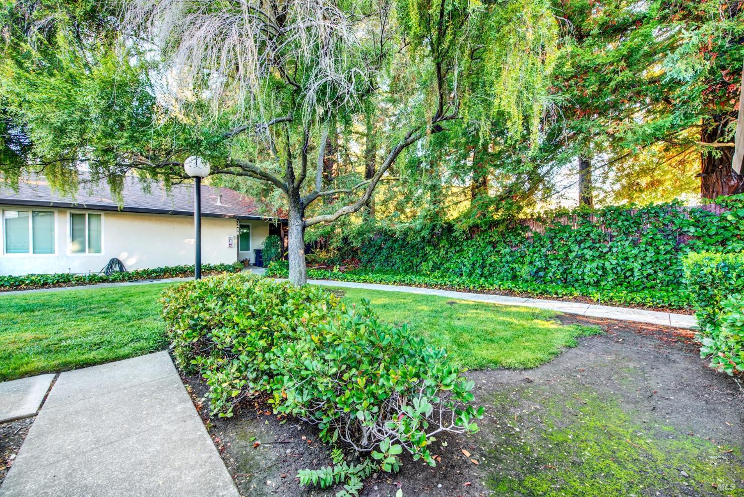 3438 Willis Dr