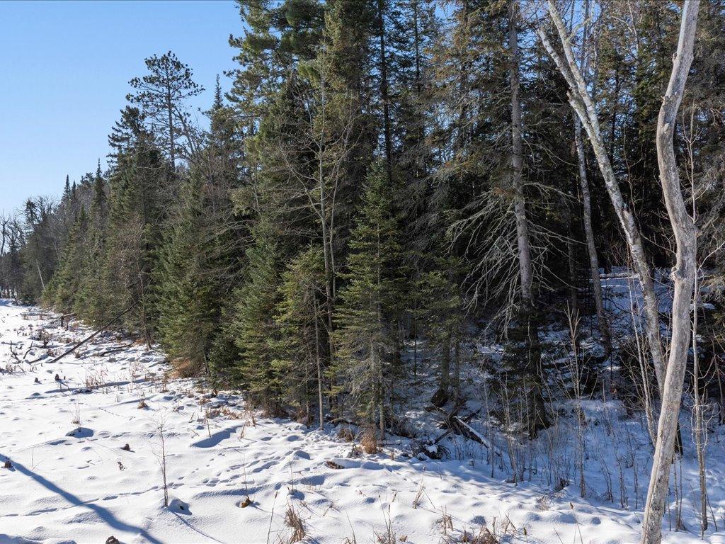 17612 County Road 11